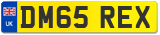 DM65 REX