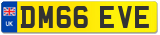 DM66 EVE