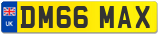 DM66 MAX