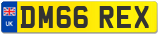 DM66 REX