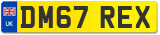 DM67 REX