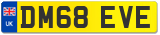DM68 EVE
