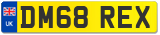 DM68 REX