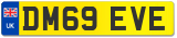 DM69 EVE