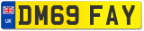 DM69 FAY