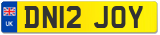 DN12 JOY