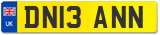 DN13 ANN