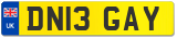 DN13 GAY