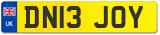 DN13 JOY