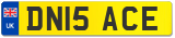 DN15 ACE