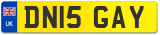 DN15 GAY