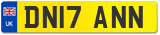 DN17 ANN