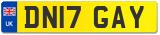 DN17 GAY