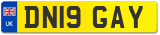 DN19 GAY