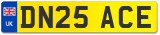 DN25 ACE