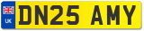 DN25 AMY