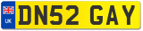 DN52 GAY