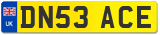 DN53 ACE