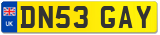 DN53 GAY