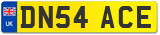 DN54 ACE