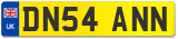 DN54 ANN