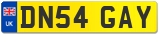 DN54 GAY