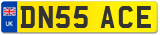 DN55 ACE