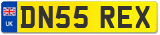 DN55 REX