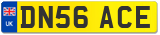 DN56 ACE