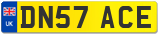 DN57 ACE