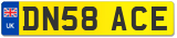 DN58 ACE