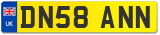 DN58 ANN