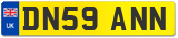 DN59 ANN