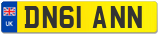 DN61 ANN