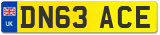 DN63 ACE