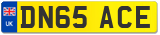 DN65 ACE