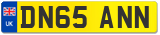 DN65 ANN