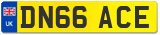 DN66 ACE