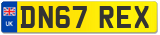 DN67 REX