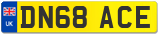 DN68 ACE