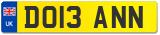 DO13 ANN