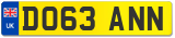 DO63 ANN