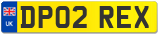 DP02 REX