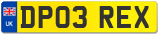 DP03 REX