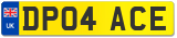 DP04 ACE