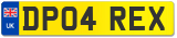 DP04 REX