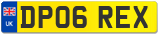 DP06 REX