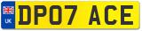 DP07 ACE