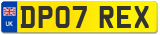 DP07 REX