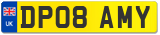 DP08 AMY